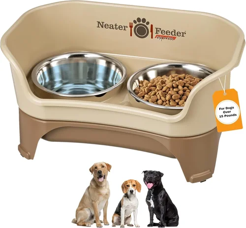 Best Dog Food Bowls for Bloodhounds 2026