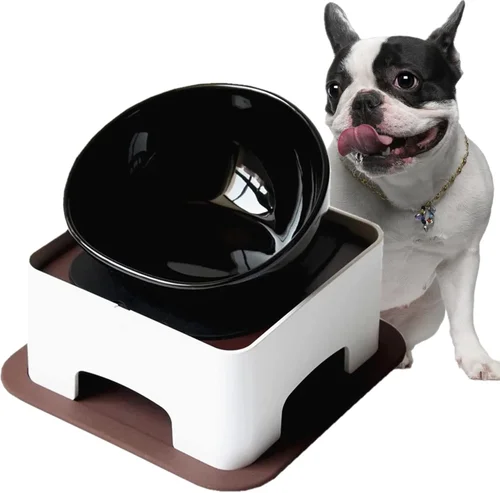 Best Dog Food Bowls for Boston Terriers 2026