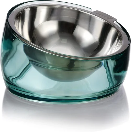 How to Choose Dog Bowls 2026