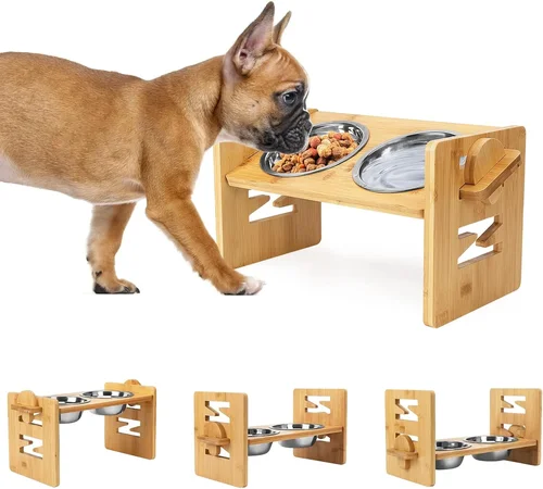 Ultimate Dog Food Bowls Buying Guide 2026