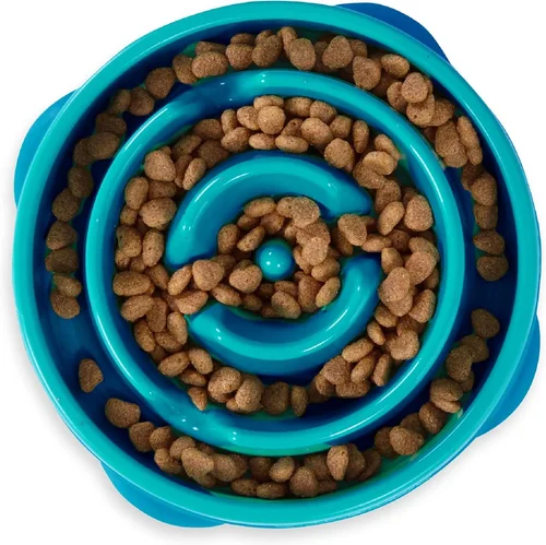 Ultimate Dog Food Bowls for Labs 2026