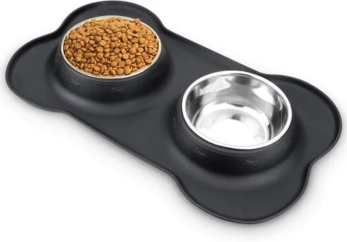 Best Dog Food Bowls for Puppies 2026