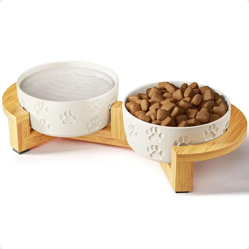 Shih Tzu Dog Bowl Shopping Guide 2026
