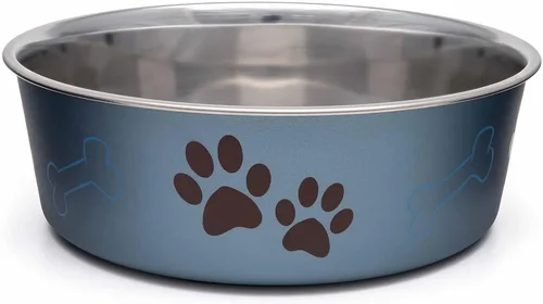 Expert Dog Food Bowls for Small Dogs Buying Guide 2026
