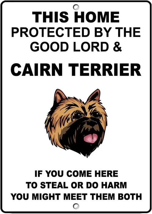 Best Dog Food for Cairn Terriers Guide 2026