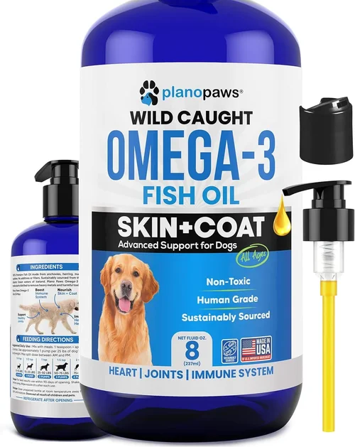 Complete Dog Food Buying Guide 2026