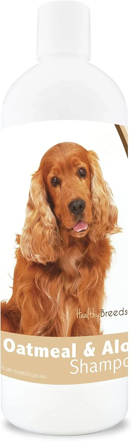 Complete Cocker Spaniel Dog Food Buying Guide 2026