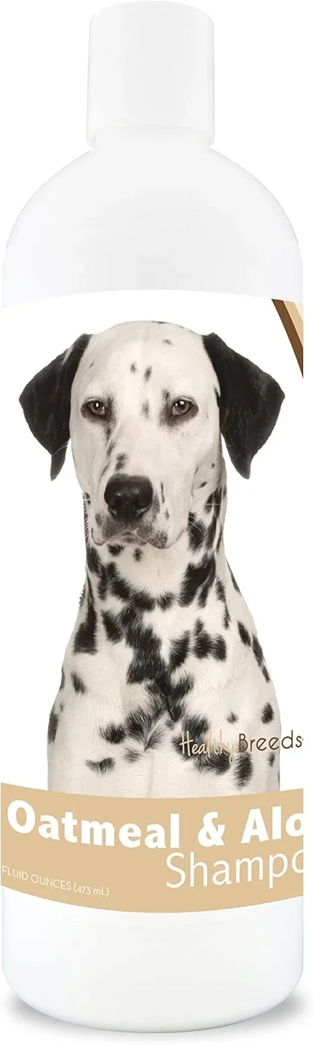 Best Dog Food for Dalmatians Guide 2026
