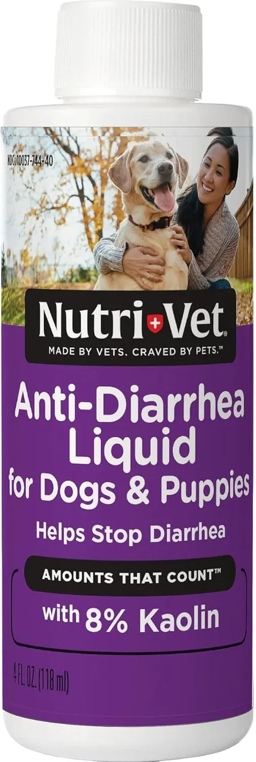Best Dog Food for Diarrhea Guide 2026