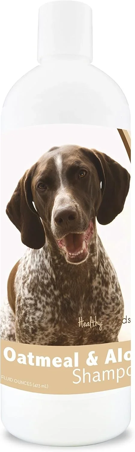 German Shorthaired Pointer Food Guide 2026