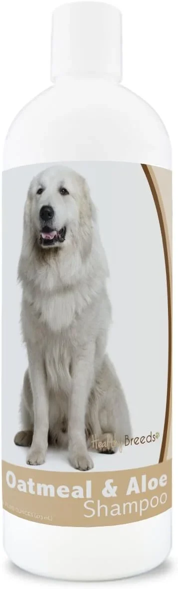 Great Pyrenees Dog Food Selection Guide 2026