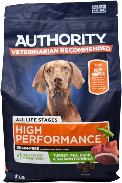 Jack Russell Dog Food Guide 2026