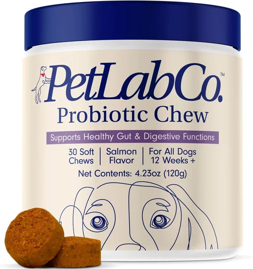 Expert Dog Food Buying Guide 2026