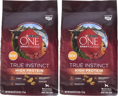 Maltese Dog Food Selection Guide 2026