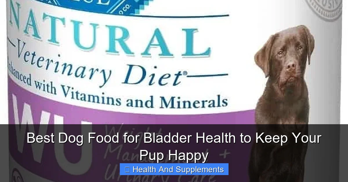 Best Dog Food for Bladder Health to Keep Your Pup Happy