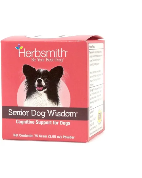 Best Dog Food for Brain Health Buyer's Guide 2026