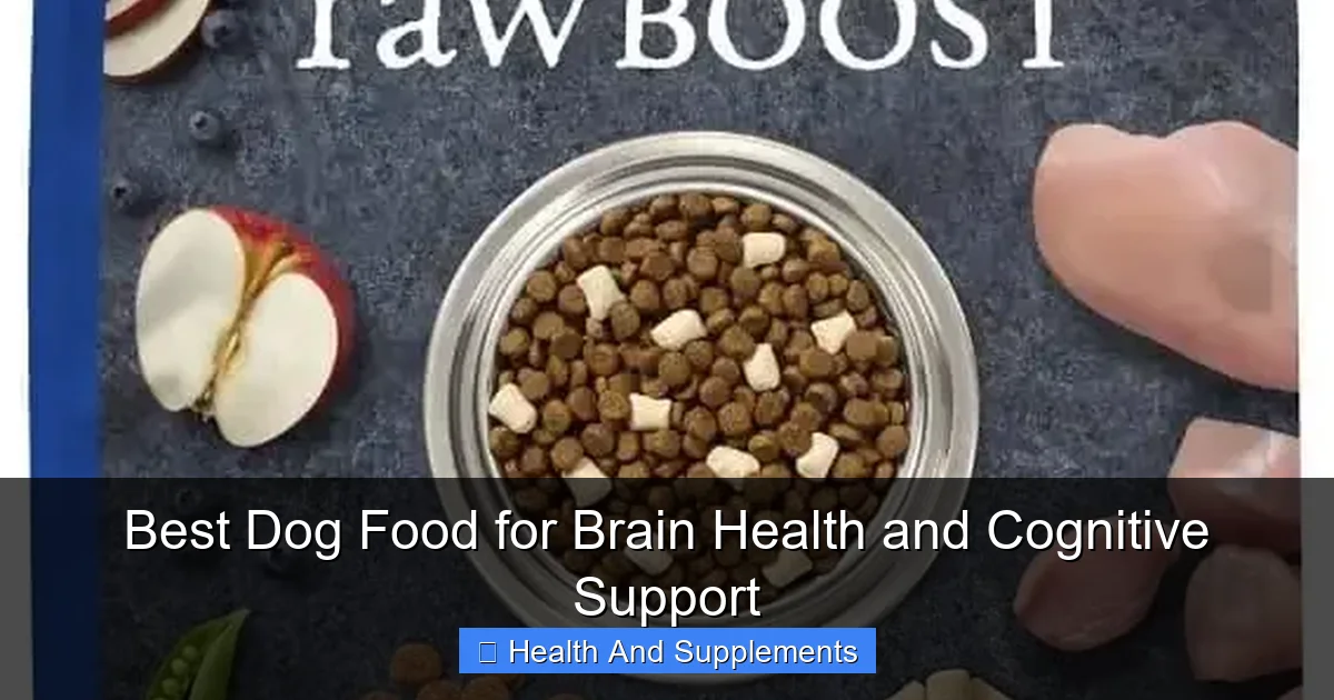 Best Dog Food for Brain Health and Cognitive Support