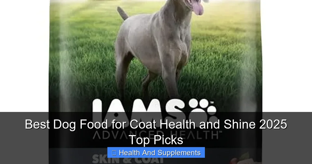 Best Dog Food for Coat Health and Shine 2025 Top Picks