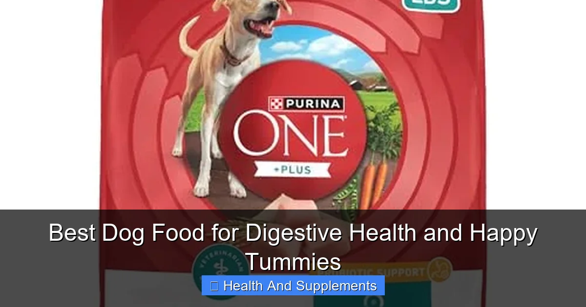 Best Dog Food for Digestive Health and Happy Tummies
