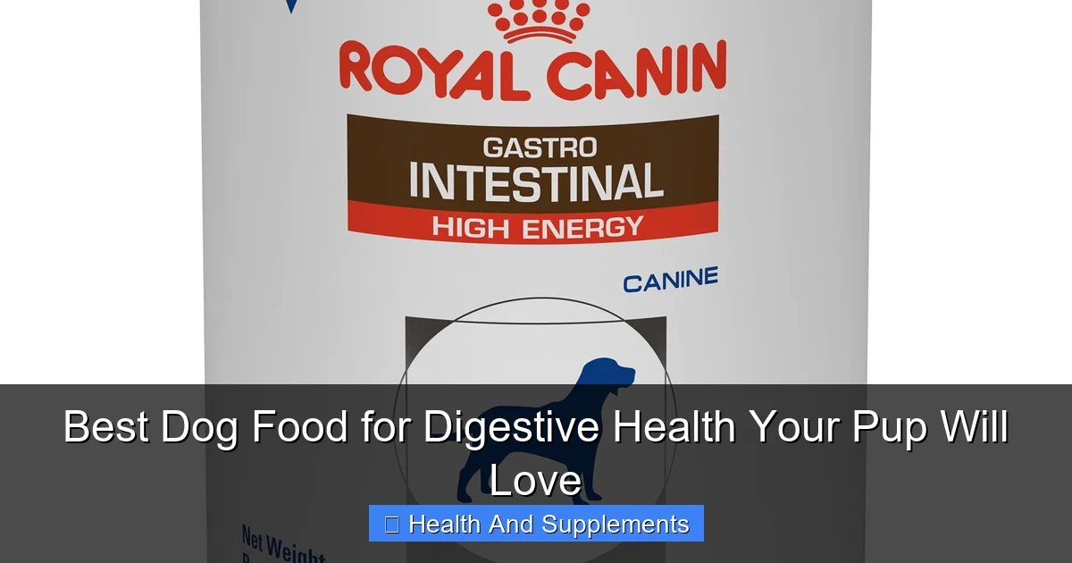 Best Dog Food for Digestive Health Your Pup Will Love