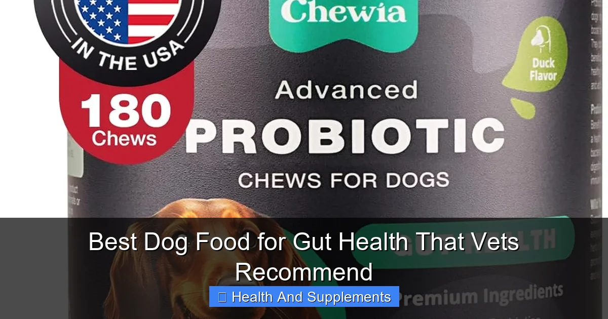 Best Dog Food for Gut Health That Vets Recommend