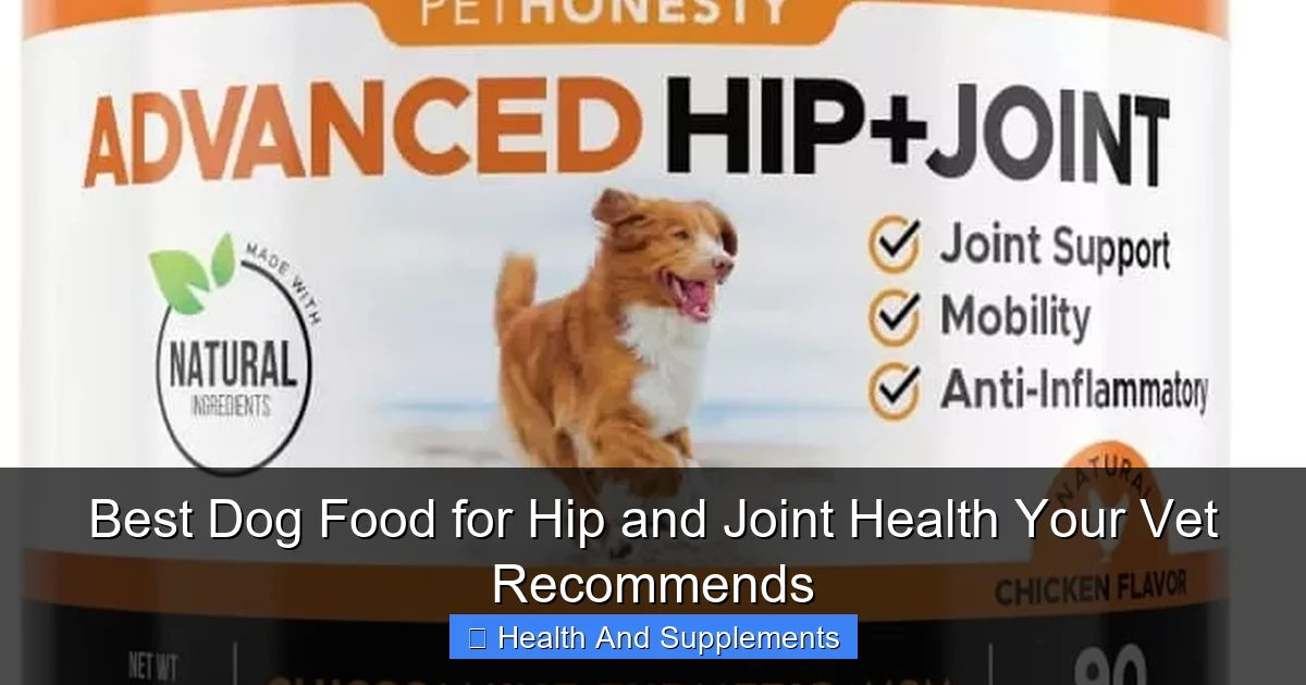 Best Dog Food for Hip and Joint Health Your Vet Recommends