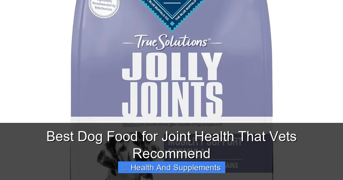 Best Dog Food for Joint Health That Vets Recommend