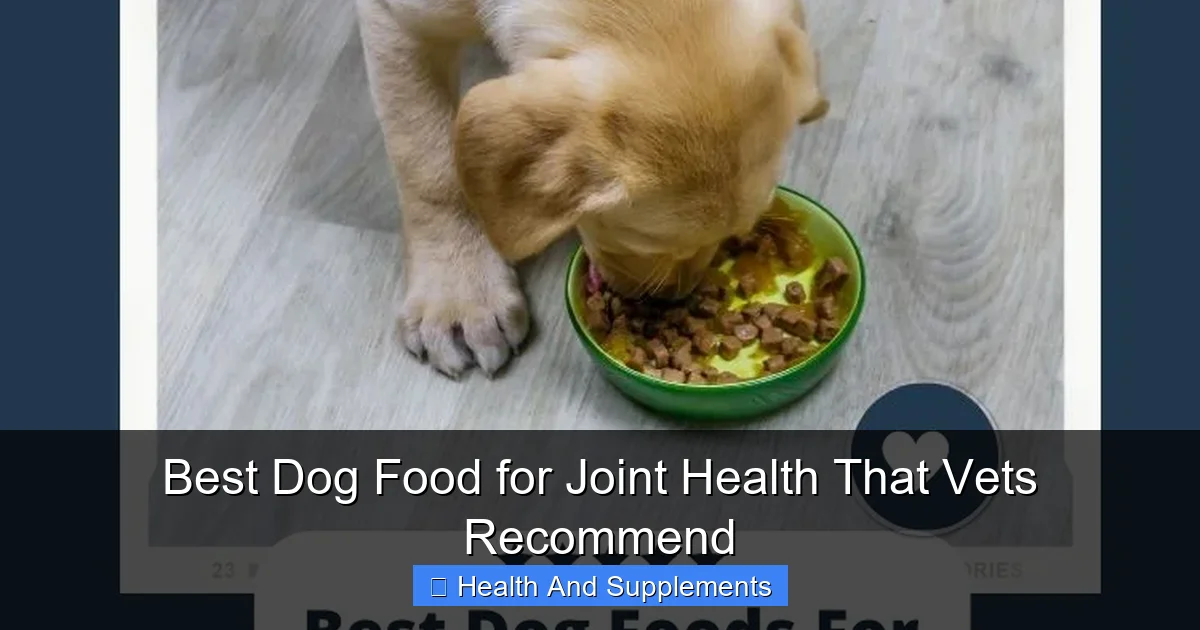 Best Dog Food for Joint Health That Vets Recommend