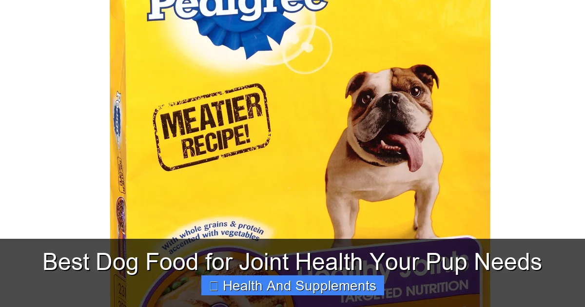 Best Dog Food for Joint Health Your Pup Needs