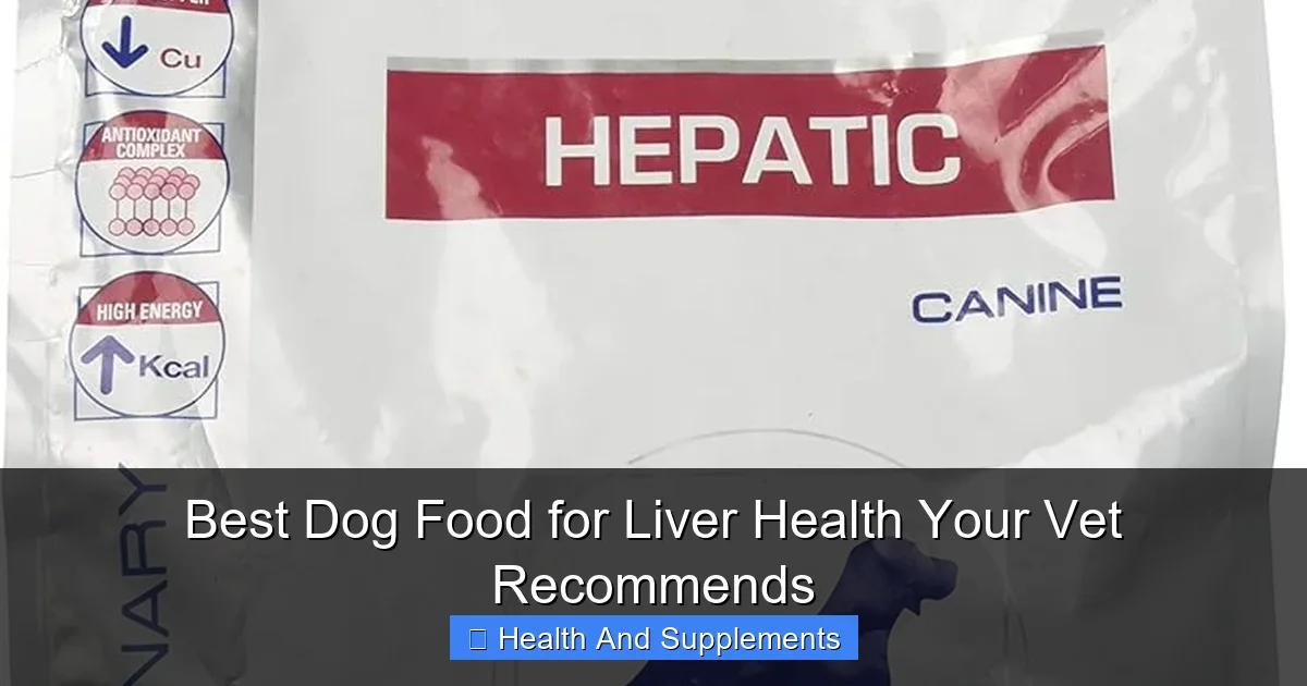 Best Dog Food for Liver Health Your Vet Recommends