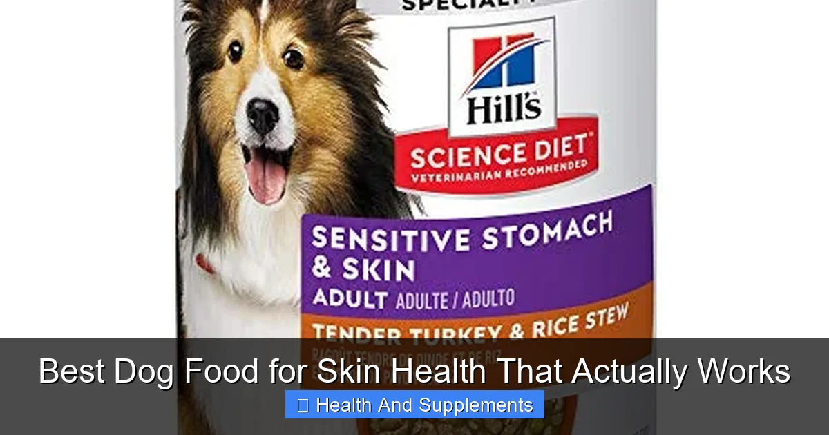 Best Dog Food for Skin Health That Actually Works