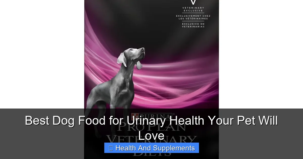 Best Dog Food for Urinary Health Your Pet Will Love