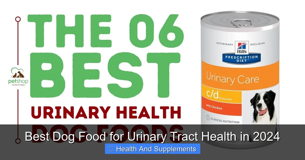 Best Dog Food for Urinary Tract Health in 2024