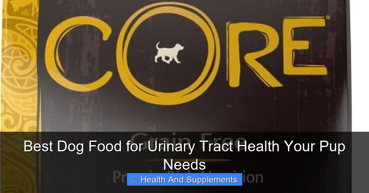 Best Dog Food for Urinary Tract Health Your Pup Needs