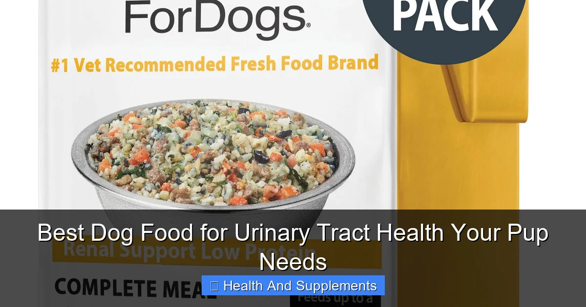 Best Dog Food for Urinary Tract Health Your Pup Needs