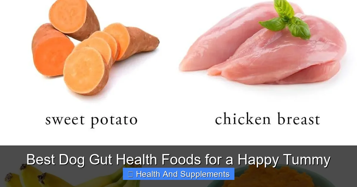 Best Dog Gut Health Foods for a Happy Tummy