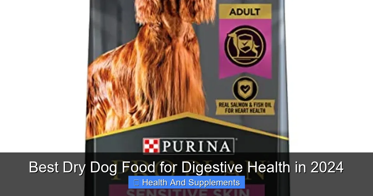 Best Dry Dog Food for Digestive Health in 2024