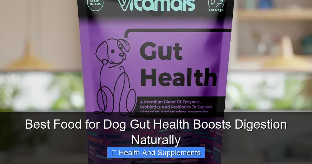 Best Food for Dog Gut Health Boosts Digestion Naturally