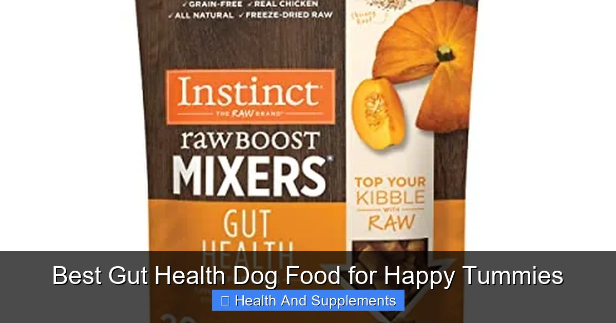 Best Gut Health Dog Food for Happy Tummies