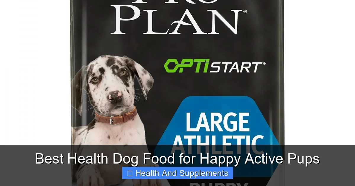 Best Health Dog Food for Happy Active Pups