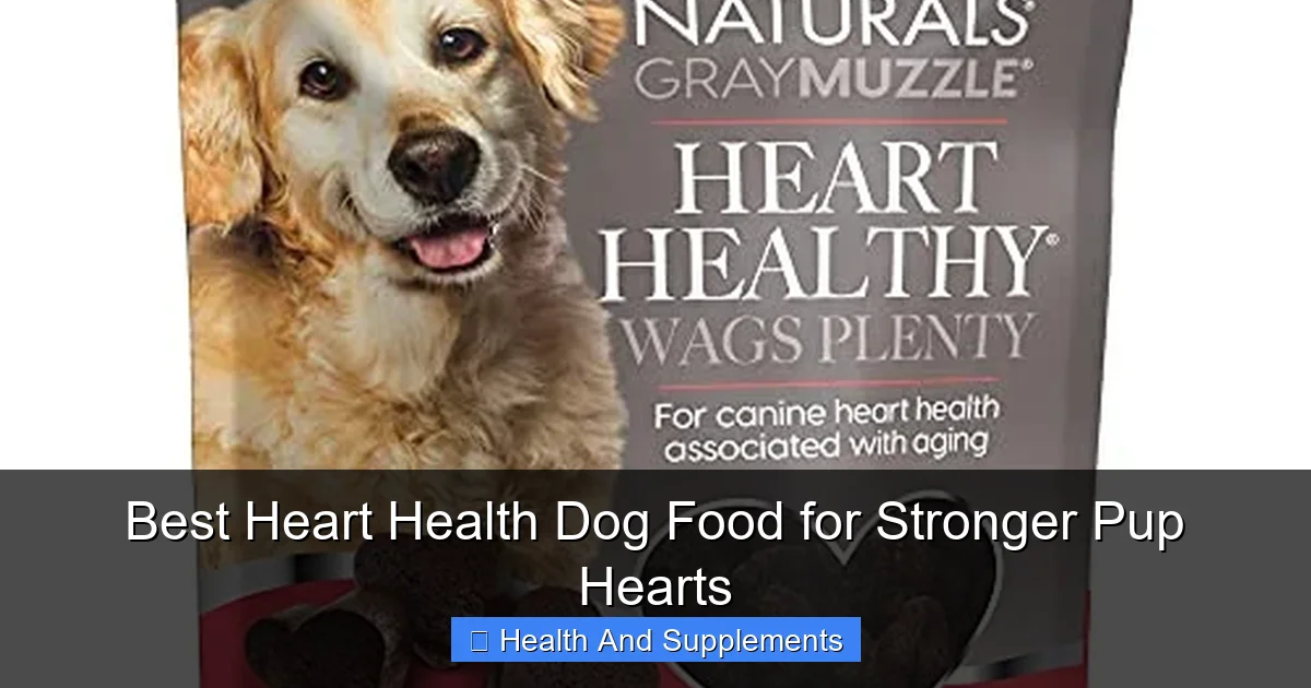 Best Heart Health Dog Food for Stronger Pup Hearts