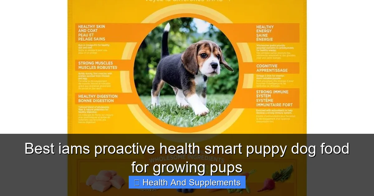 Best iams proactive health smart puppy dog food for growing pups