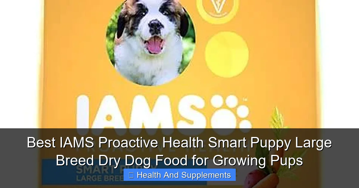 Best IAMS Proactive Health Smart Puppy Large Breed Dry Dog Food for Growing Pups