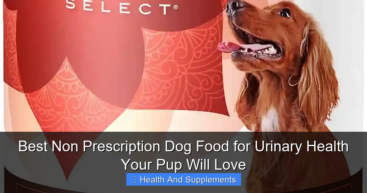 Best Non Prescription Dog Food for Urinary Health Your Pup Will Love