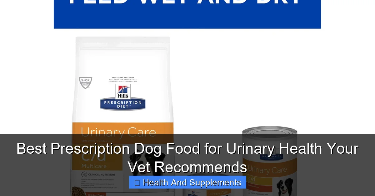 Best Prescription Dog Food for Urinary Health Your Vet Recommends