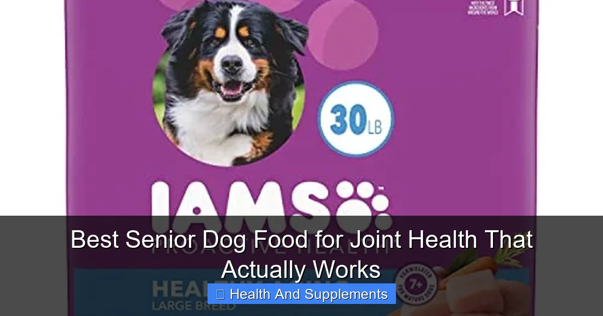 Best Senior Dog Food for Joint Health That Actually Works