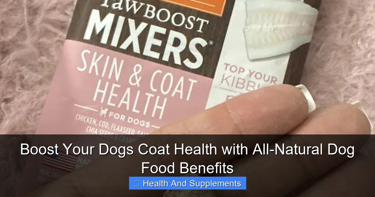 Boost Your Dogs Coat Health with All-Natural Dog Food Benefits