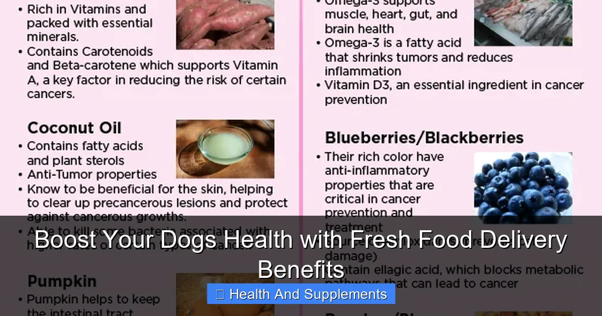 Boost Your Dogs Health with Fresh Food Delivery Benefits