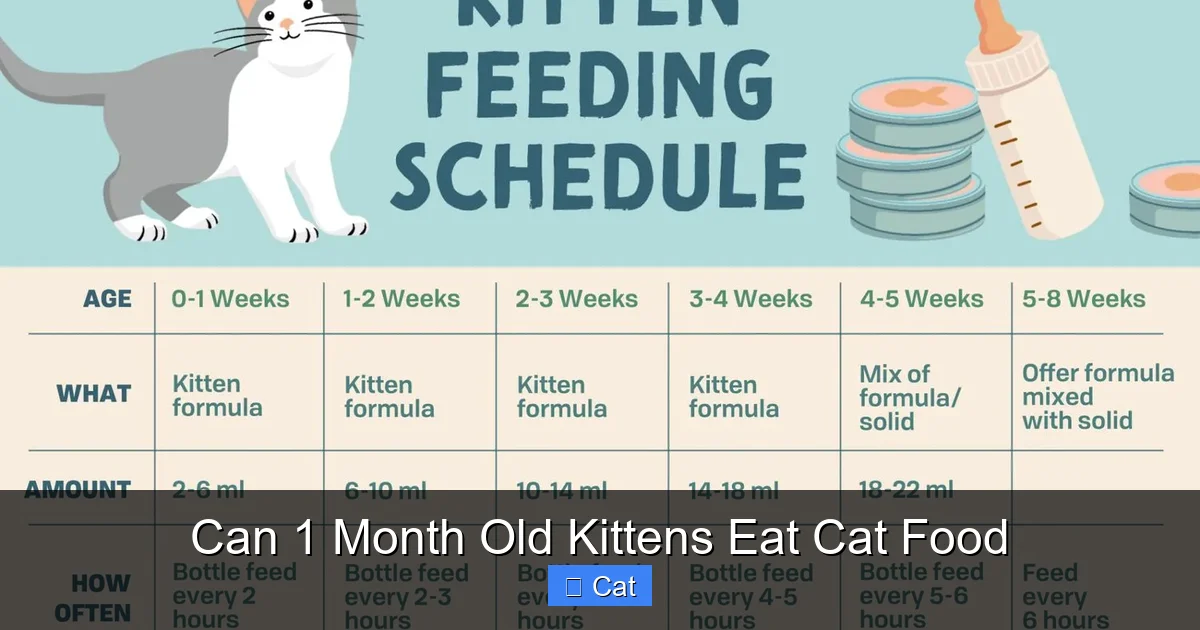 Can 1 Month Old Kittens Eat Cat Food