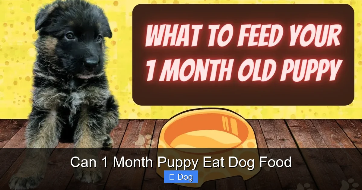 Can 1 Month Puppy Eat Dog Food